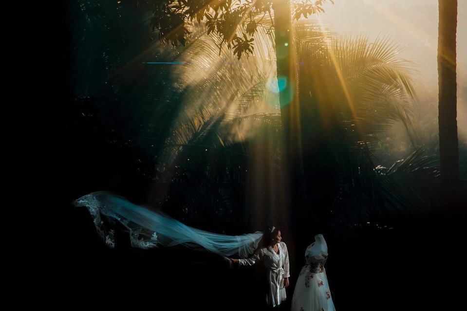 Wedding couple small beneath tall palms, sunbeams and a flowing veil