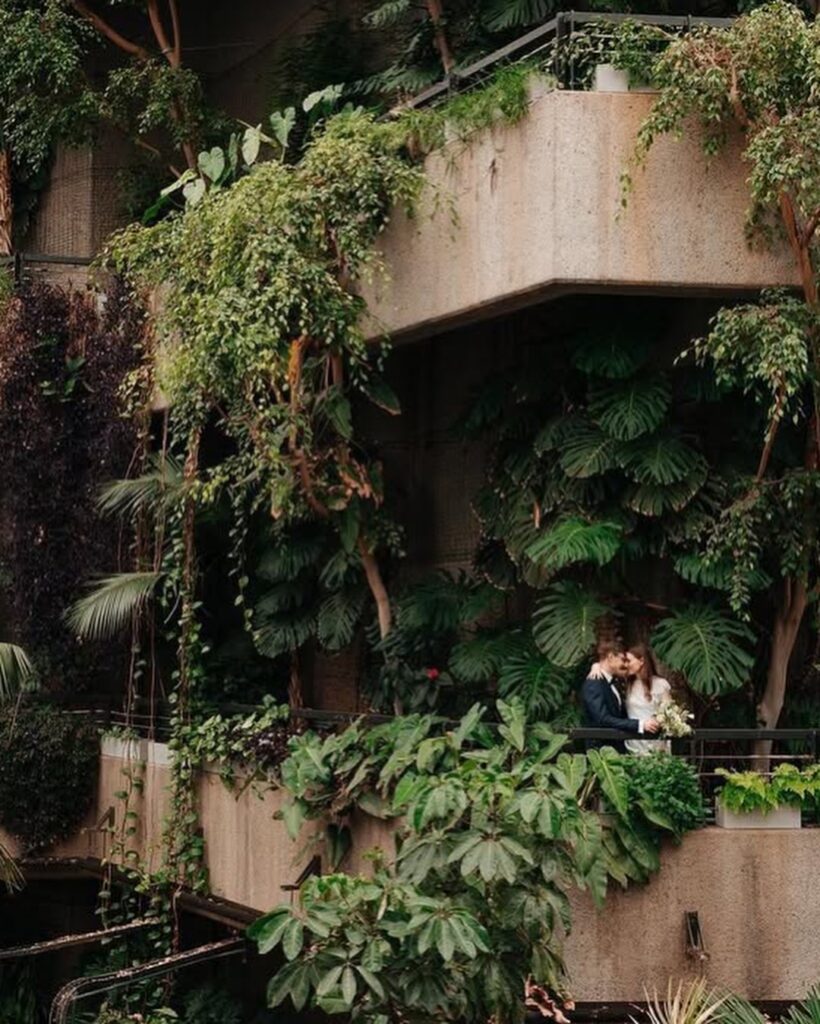 Pareja en un balcón entre pasarelas de hormigón y abundantes plantas verdes